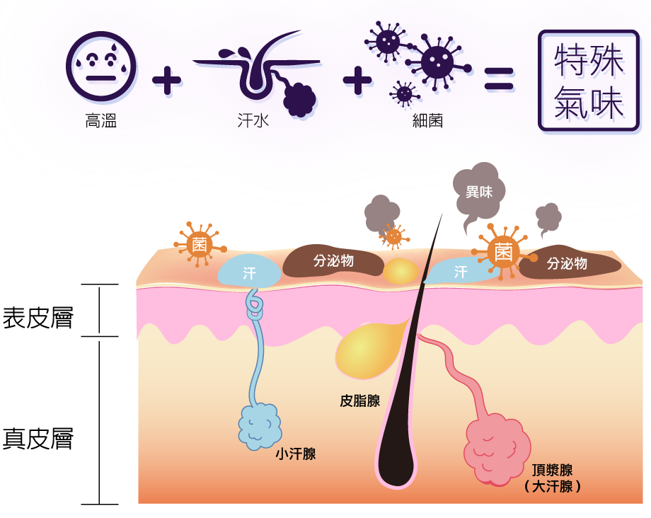 多層次抽脂